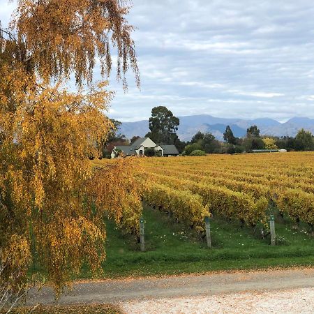 Vineyard Cottage In Blenheim On The Golden Mile Esterno foto