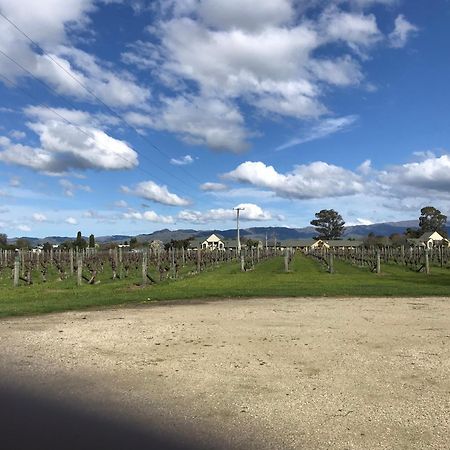 Vineyard Cottage In Blenheim On The Golden Mile Esterno foto