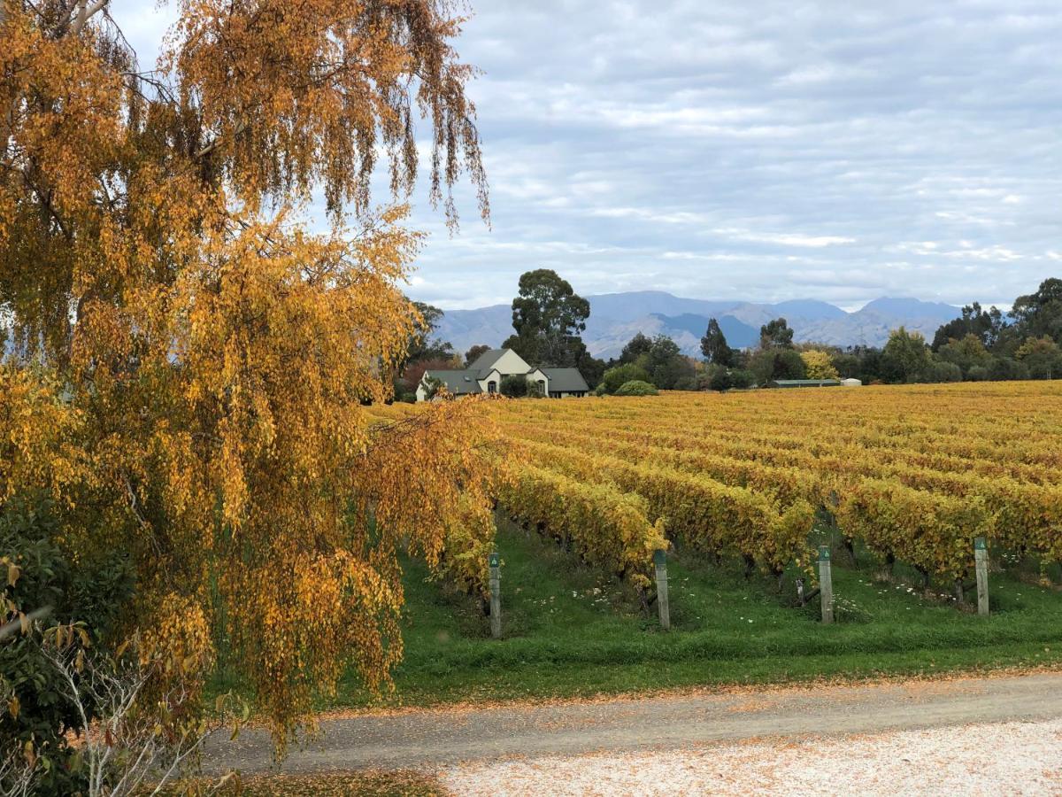 Vineyard Cottage In Blenheim On The Golden Mile Esterno foto
